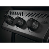 Napoleon Freestyle 365 Gas Grill