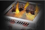 Napoleon Built-In 700 Series Dual Infrared Burner